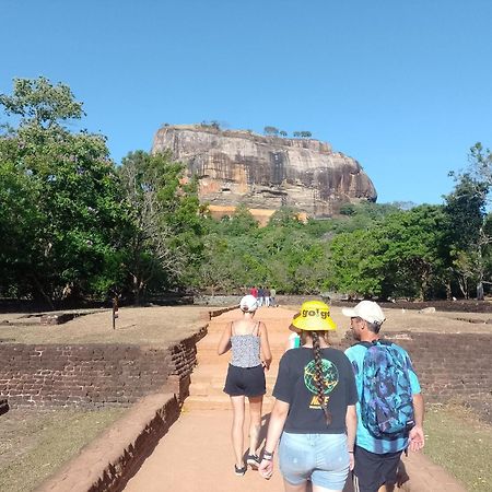 Kon Tree Shade Apartment Dambulla Luaran gambar