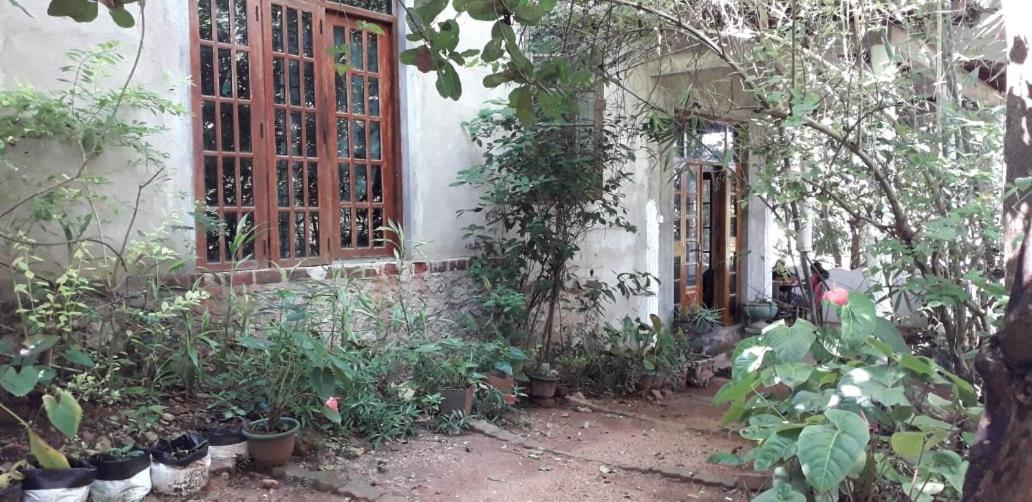 Kon Tree Shade Apartment Dambulla Luaran gambar