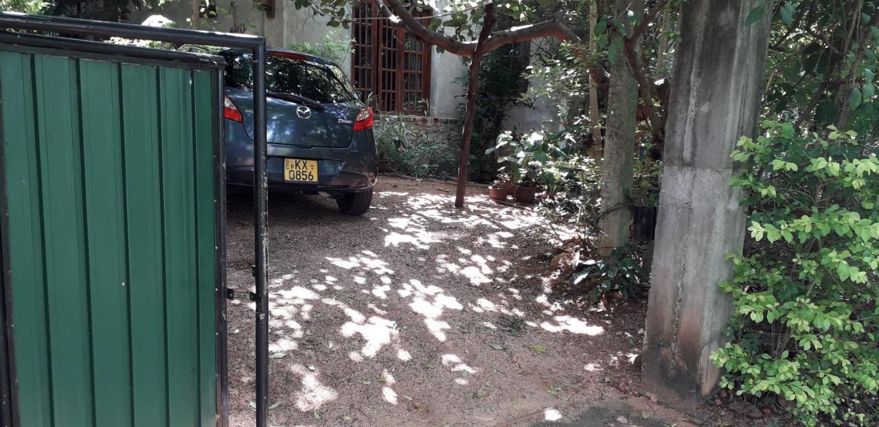 Kon Tree Shade Apartment Dambulla Luaran gambar