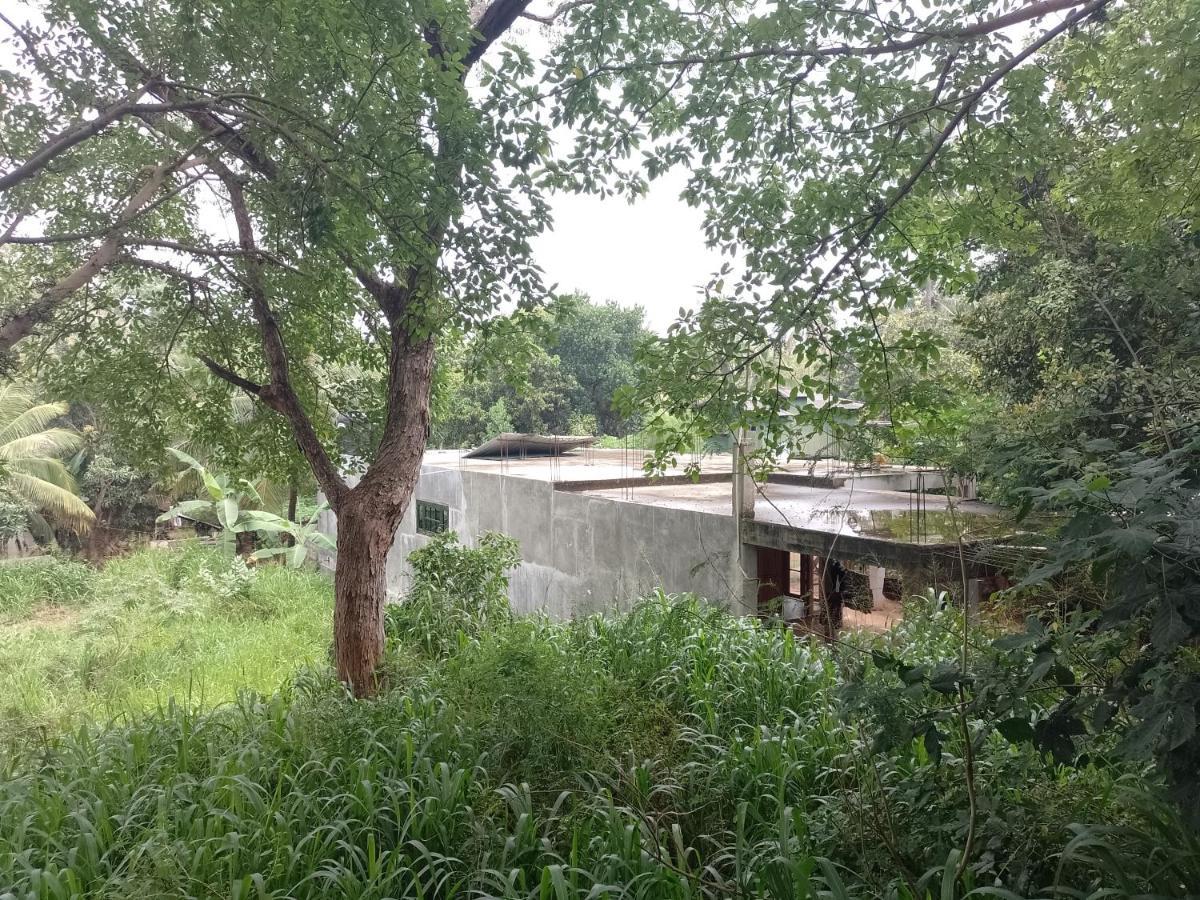 Kon Tree Shade Apartment Dambulla Luaran gambar