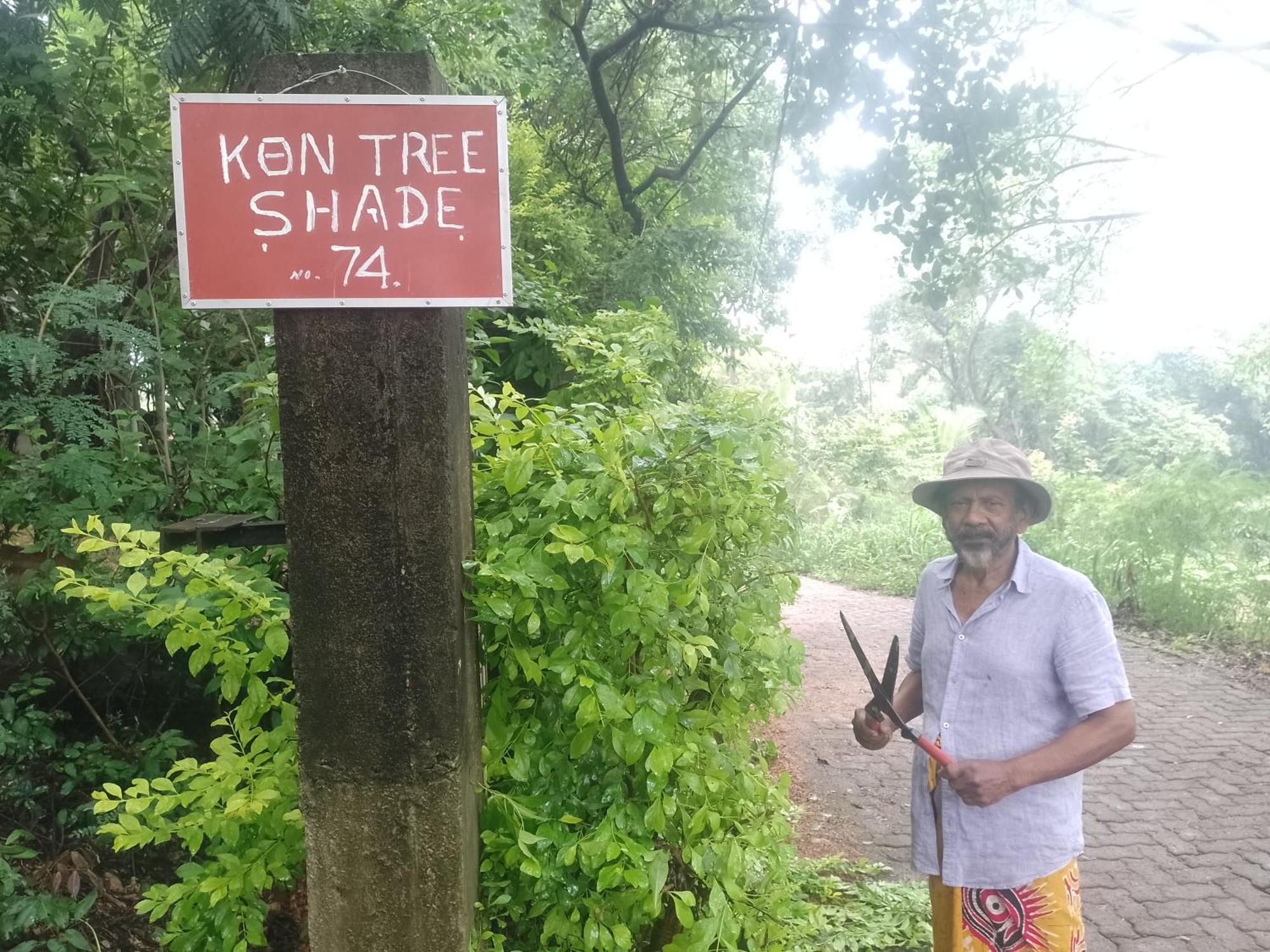 Kon Tree Shade Apartment Dambulla Luaran gambar